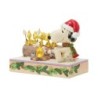 Campfire Companions Snoopy Woodstock LED Roasting Marshmallows Peanuts